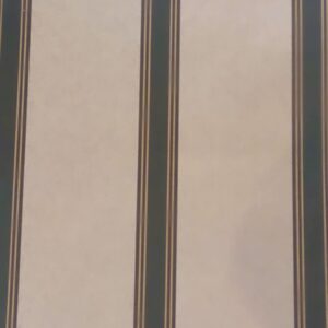 PAPEL  LISTRADO