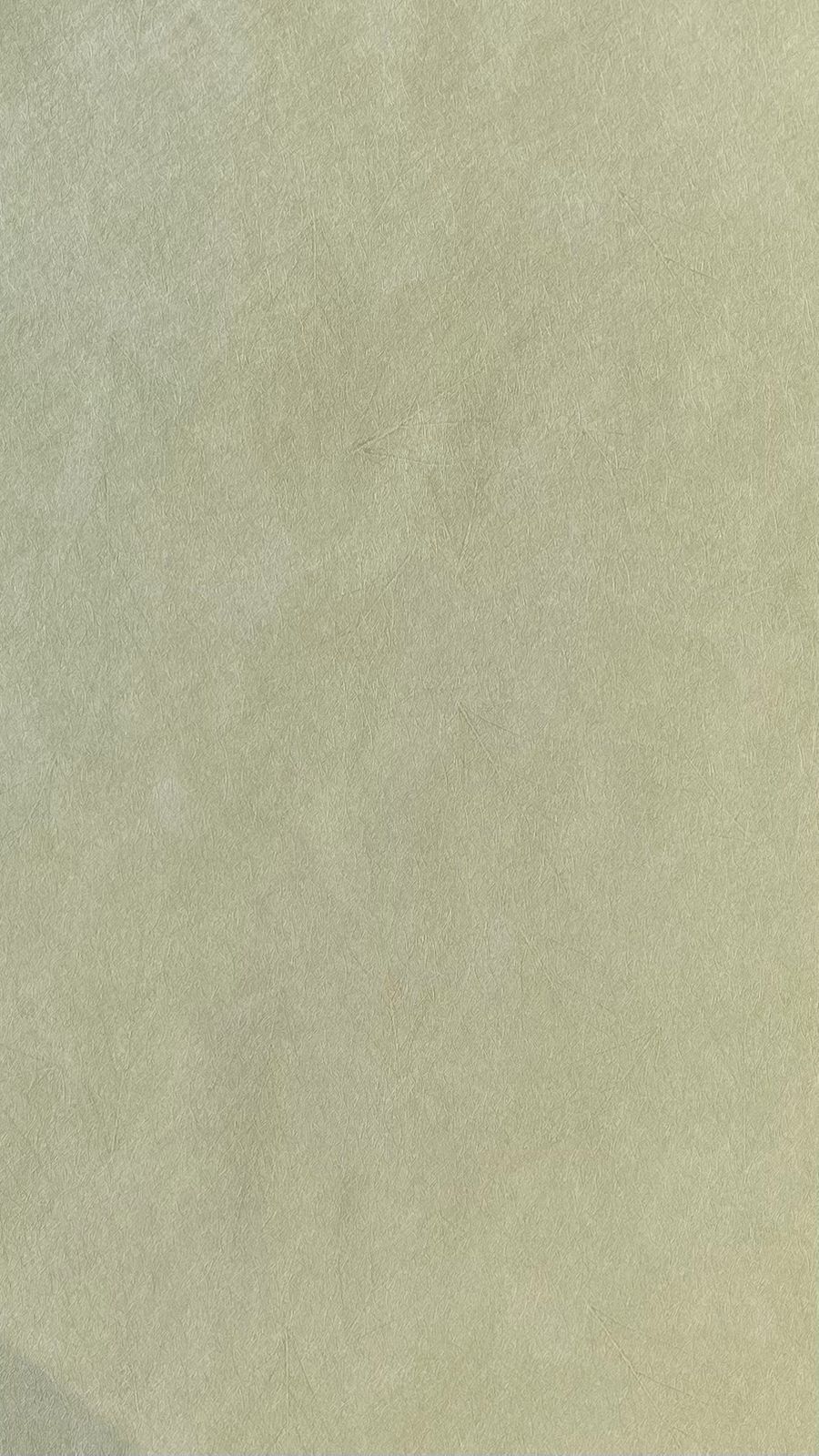 PAPEL LISO