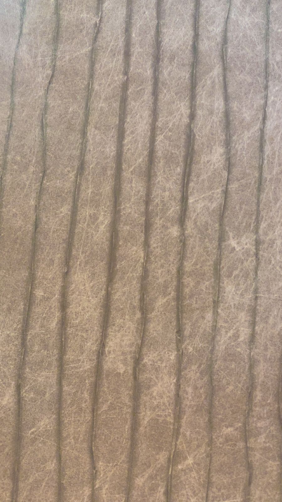 PAPEL ANIMAL PRINT