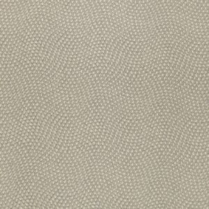 PAPEL ANIMAL PRINT