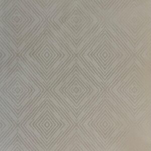 PAPEL GEOMÉTRICO