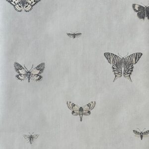 PAPEL CLASSICO