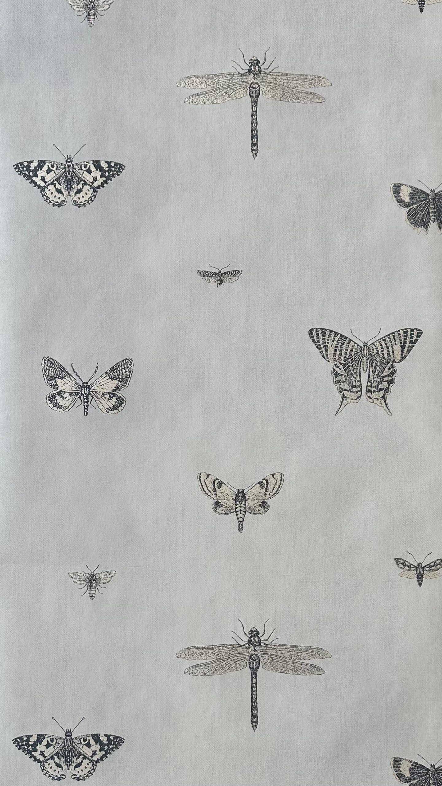 PAPEL CLASSICO