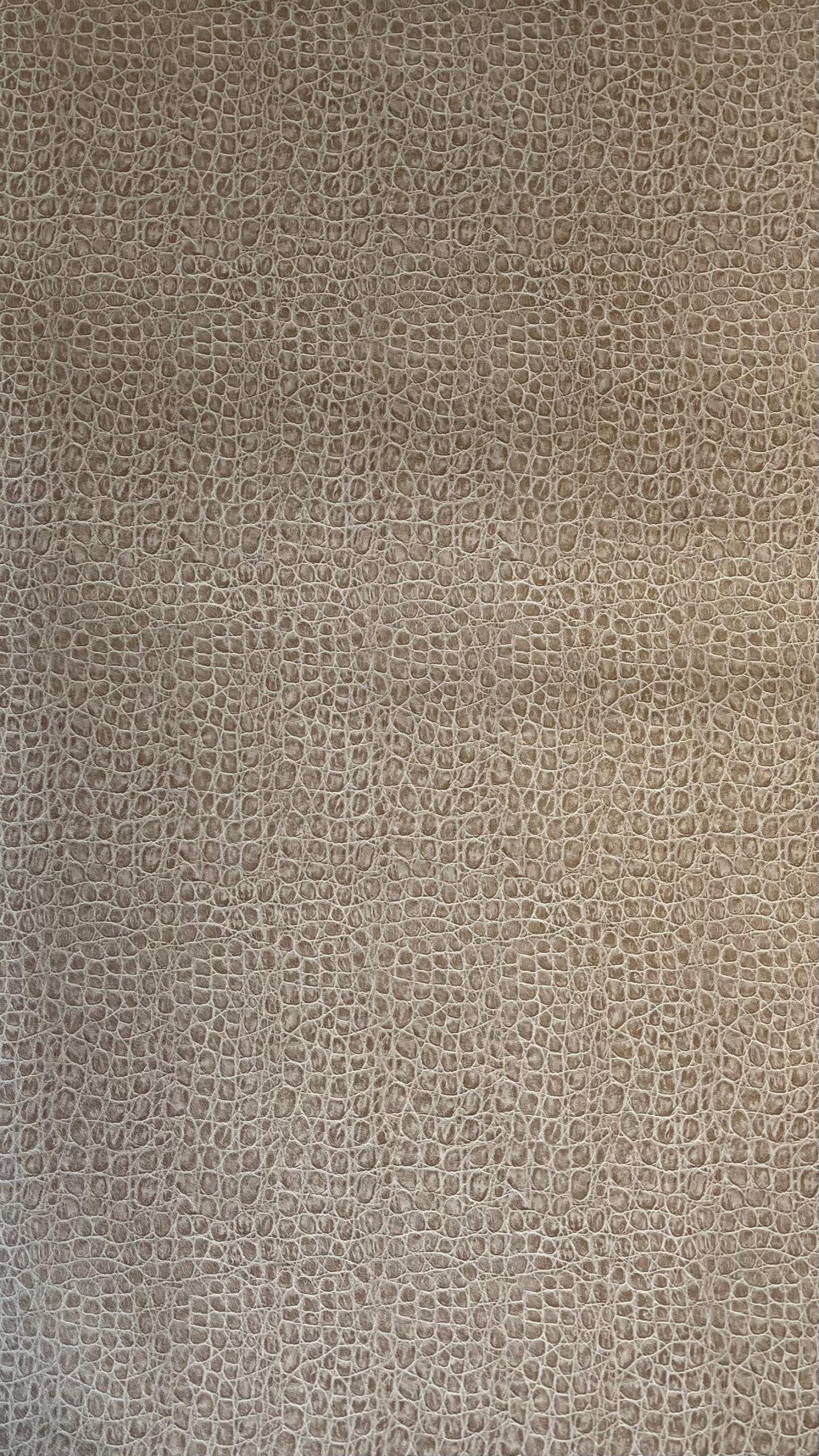 PAPEL ANIMAL PRINT