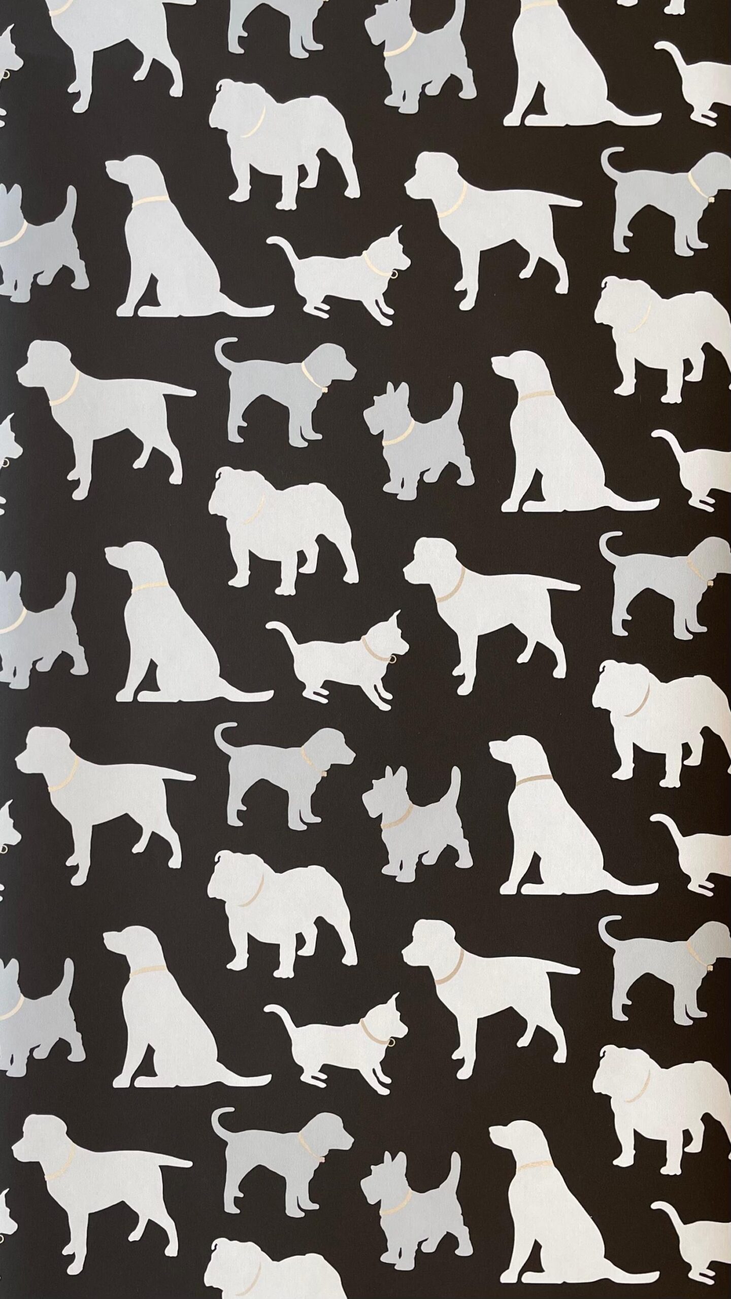 PAPEL MODERNO