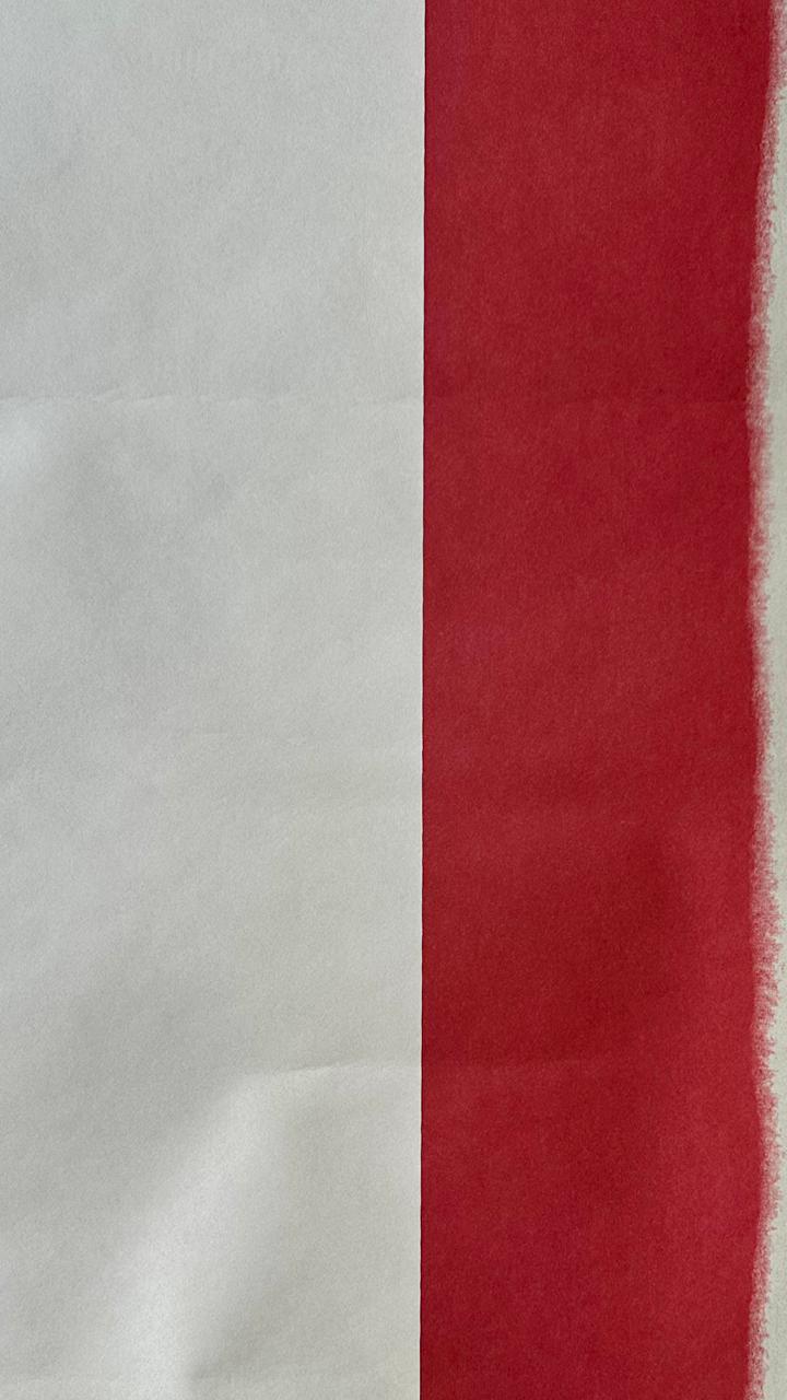 PAPEL LISTRADO