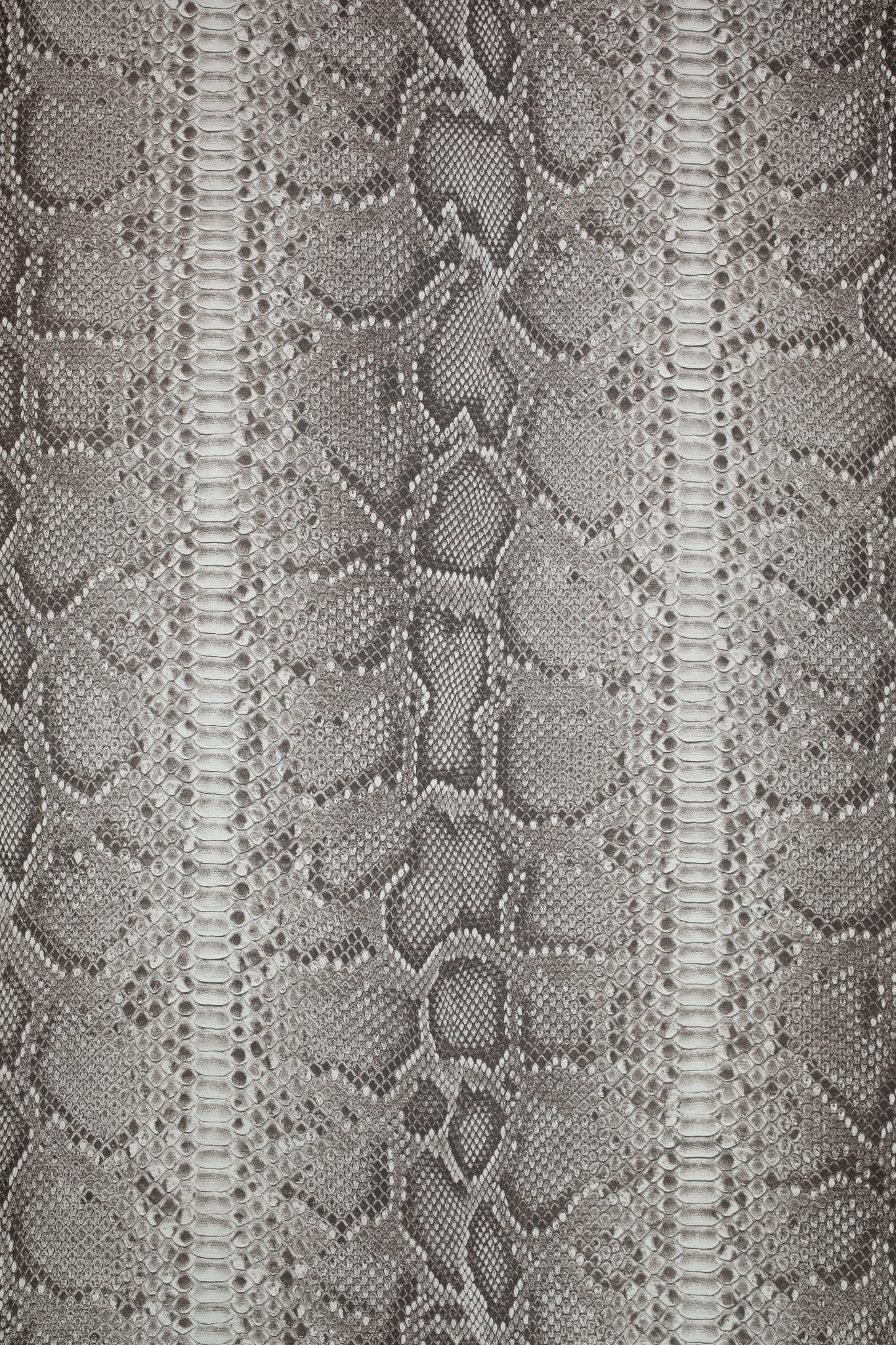 PAPEL ANIMAL PRINT