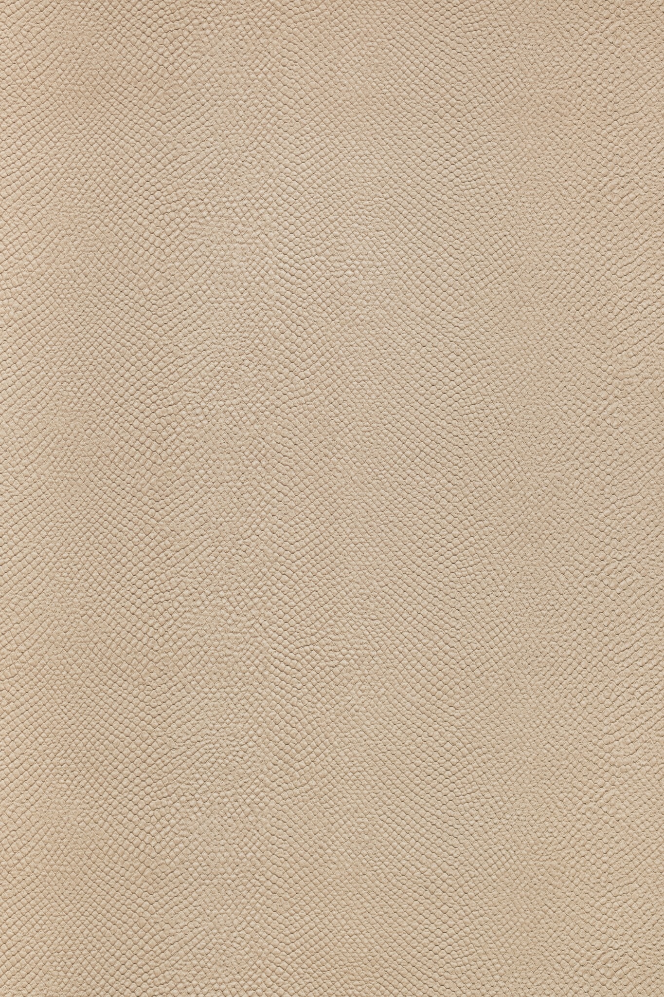 PAPEL ANIMAL PRINT